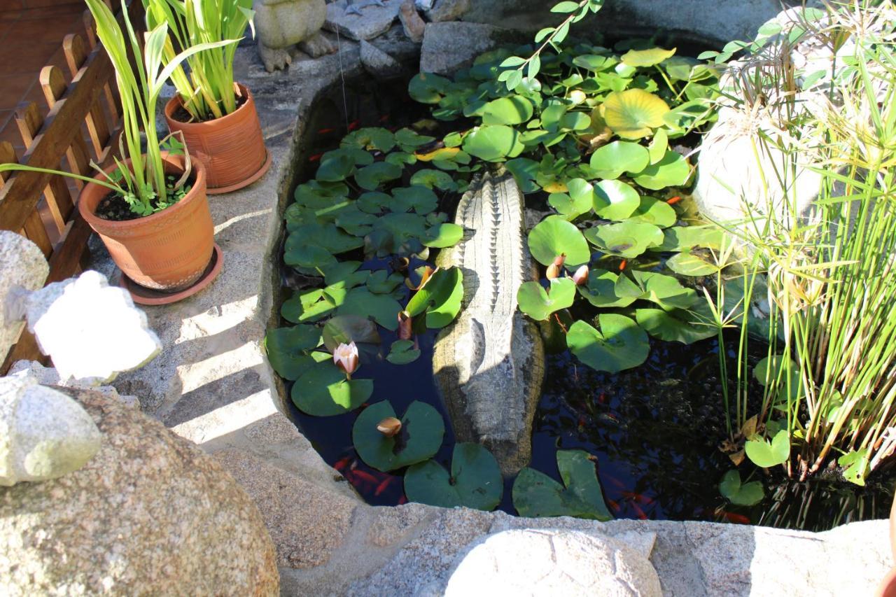 Apartamentos Os Cerros Πόρτο Νόβο Εξωτερικό φωτογραφία
